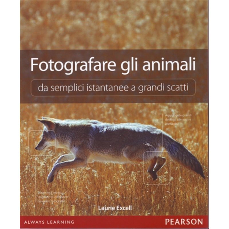 Fotografare gli animali - Da semplici istantanee a grandi scatti